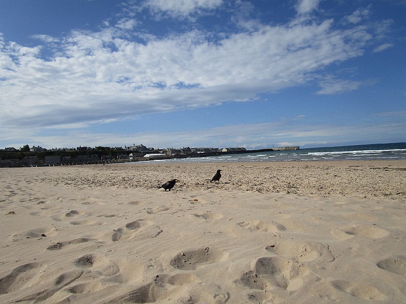 2018.06.30 Schottland Lossiemouth (1551).JPG